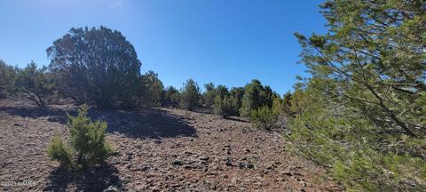 2145 E Clear Point Way, Williams, AZ 86046 photo 8