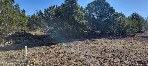 2145 E Clear Point Way, Williams, AZ 86046 photo 6