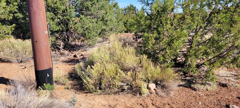 2145 E Clear Point Way, Williams, AZ 86046 photo 16