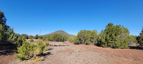 2145 E Clear Point Way, Williams, AZ 86046 photo 13