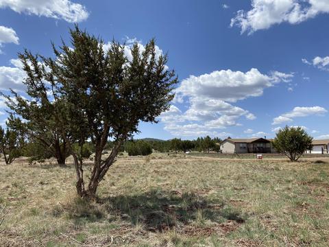 1628 E Whitehall Dr, Williams, AZ 86046 photo 5