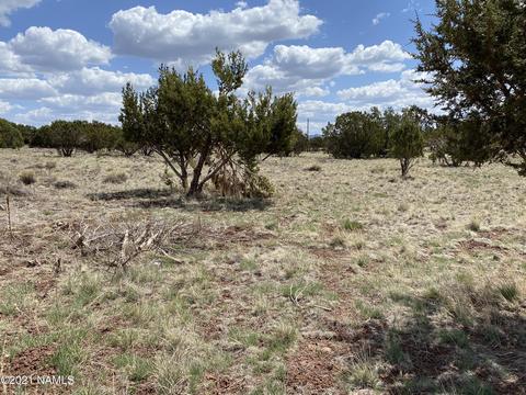 1628 E Whitehall Dr, Williams, AZ 86046 photo 4