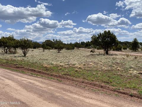 1628 E Whitehall Dr, Williams, AZ 86046 photo 3