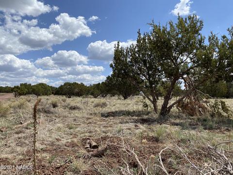 1628 E Whitehall Dr, Williams, AZ 86046 photo 6