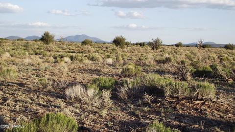 3811 S Berkley St, Williams, AZ 86046 photo 2
