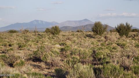 3811 S Berkley St, Williams, AZ 86046 photo 1