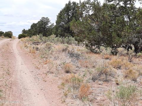 4687 E Vernon Rd, Valle, AZ 86046 photo 25