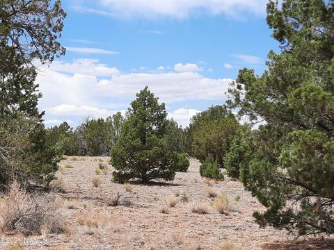 4687 E Vernon Rd, Valle, AZ 86046 photo 26