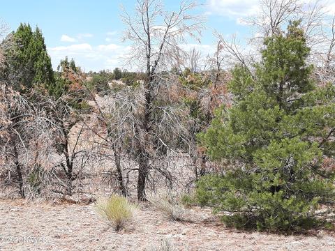 4687 E Vernon Rd, Valle, AZ 86046 photo 20
