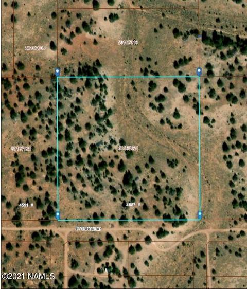 4687 E Vernon Rd, Valle, AZ 86046 photo 6