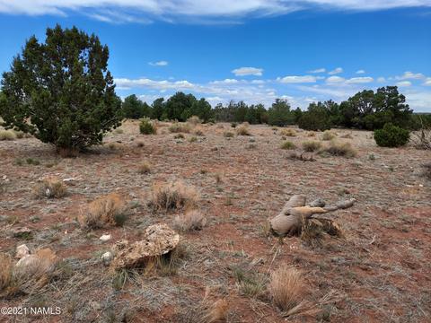 4687 E Vernon Rd, Valle, AZ 86046 photo 1