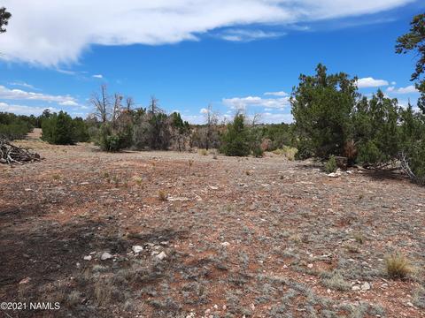 4687 E Vernon Rd, Valle, AZ 86046 photo 15