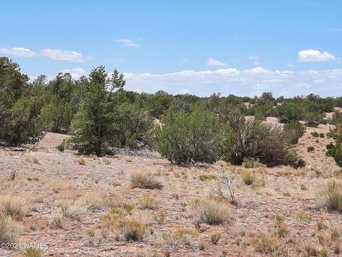 4687 E Vernon Rd, Valle, AZ 86046 photo 24