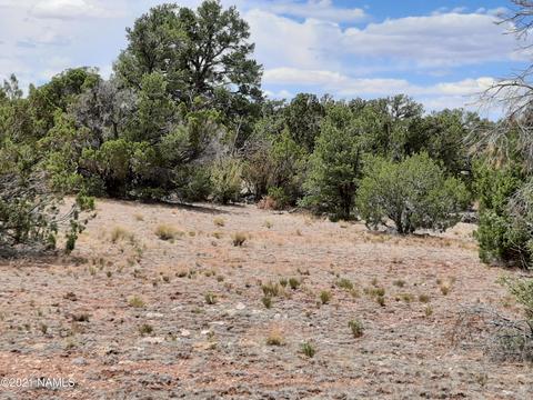 4687 E Vernon Rd, Valle, AZ 86046 photo 22