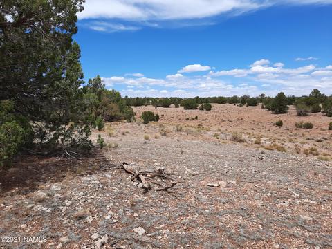 4687 E Vernon Rd, Valle, AZ 86046 photo 18