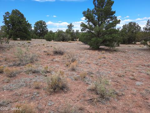 4687 E Vernon Rd, Valle, AZ 86046 photo 9