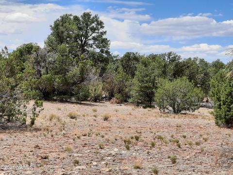 4687 E Vernon Rd, Valle, AZ 86046 photo 23