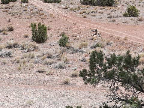 4687 E Vernon Rd, Valle, AZ 86046 photo 19
