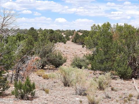 4687 E Vernon Rd, Valle, AZ 86046 photo 21
