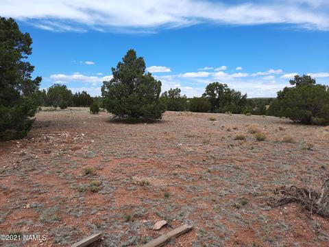 4687 E Vernon Rd, Valle, AZ 86046 photo 4