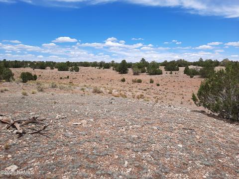 4687 E Vernon Rd, Valle, AZ 86046 photo 17