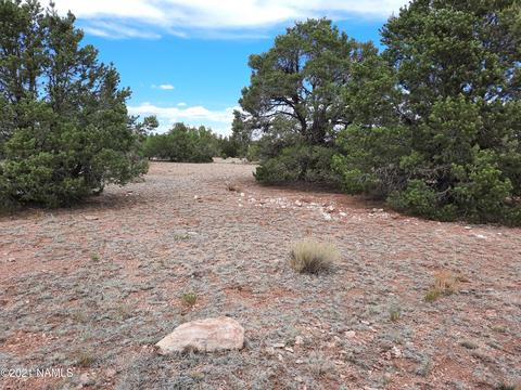 4687 E Vernon Rd, Valle, AZ 86046 photo 3