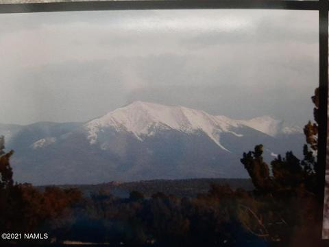 4687 E Vernon Rd, Valle, AZ 86046 photo 11
