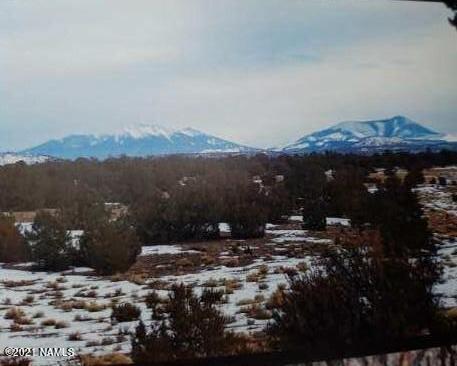 4687 E Vernon Rd, Valle, AZ 86046 photo 10