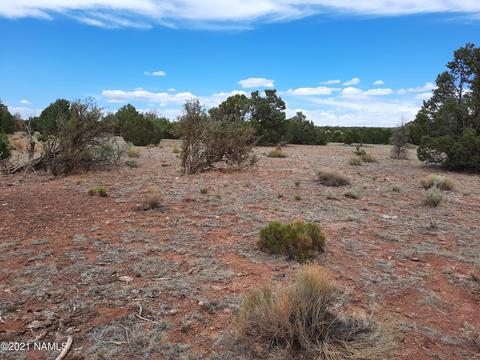 4687 E Vernon Rd, Valle, AZ 86046 photo 2