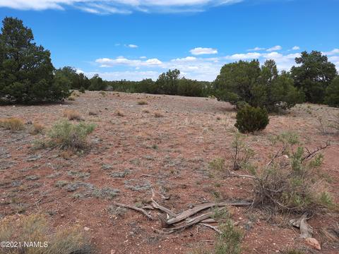 4687 E Vernon Rd, Valle, AZ 86046 photo 5