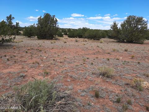 4687 E Vernon Rd, Valle, AZ 86046 photo 13