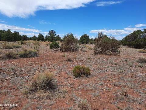 4687 E Vernon Rd, Valle, AZ 86046 photo 28