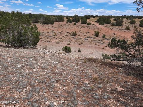 4687 E Vernon Rd, Valle, AZ 86046 photo 16