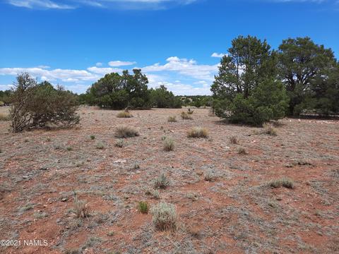 4687 E Vernon Rd, Valle, AZ 86046 photo 27