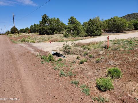 7273 N Apache Ave, Williams, AZ 86046 photo 3