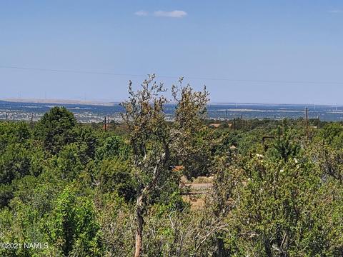 7273 N Apache Ave, Williams, AZ 86046 photo 10
