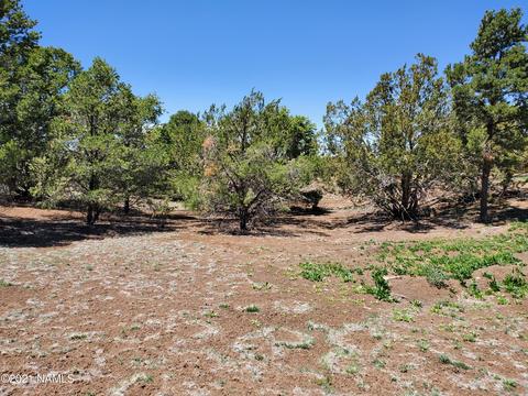 7273 N Apache Ave, Williams, AZ 86046 photo 12
