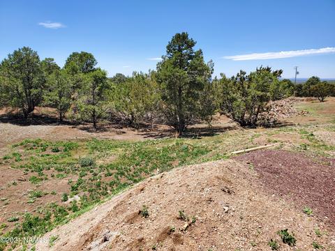 7273 N Apache Ave, Williams, AZ 86046 photo 13