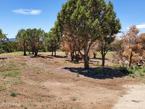 7273 N Apache Ave, Williams, AZ 86046 photo 7