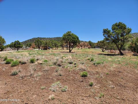 7273 N Apache Ave, Williams, AZ 86046 photo 2