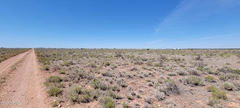 1978 E Potomac Ln, Williams, AZ 86046 photo 1