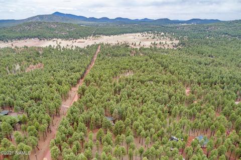 7697 E Long Bow Dr, Williams, AZ 86046 photo 60