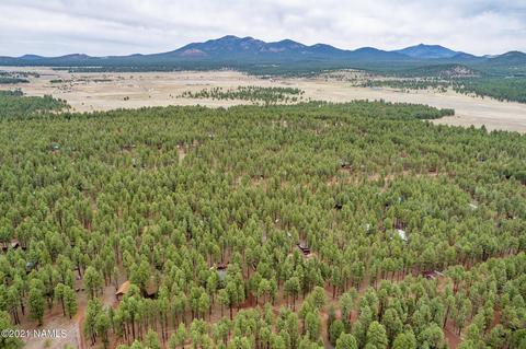 7697 E Long Bow Dr, Williams, AZ 86046 photo 62