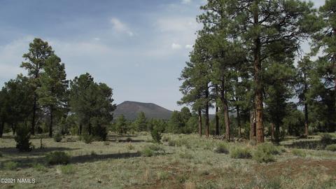 1880 E Spring Valley Rd, Williams, AZ 86046 photo 34