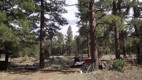 1880 E Spring Valley Rd, Williams, AZ 86046 photo 35