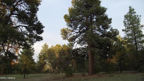 1880 E Spring Valley Rd, Williams, AZ 86046 photo 38