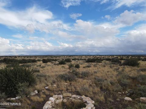 10751 W Line Cook Trl, Williams, AZ 86046