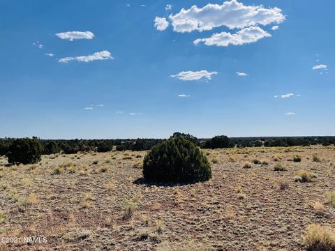 4752 Lasso Loop, Williams, AZ 86046 photo 7