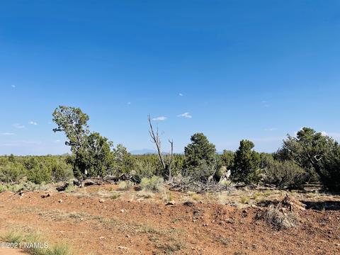 4752 Lasso Loop, Williams, AZ 86046 photo 16