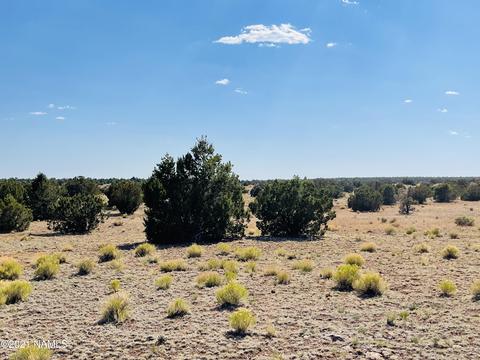 4752 Lasso Loop, Williams, AZ 86046 photo 5